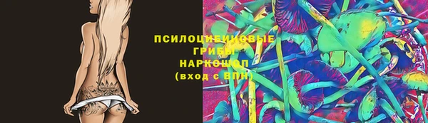 марки lsd Ельня