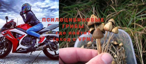 первитин Туринск