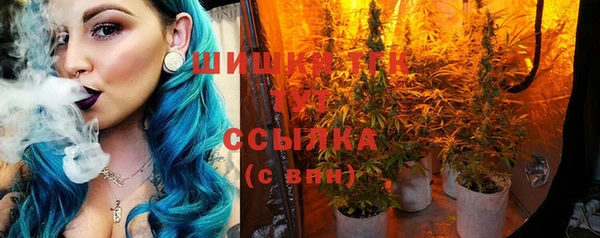 первитин Туринск