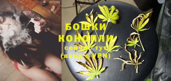 стаф Елизово